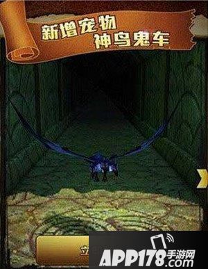 神庙逃亡2神鸟鬼车和神鸟火凤对比解析