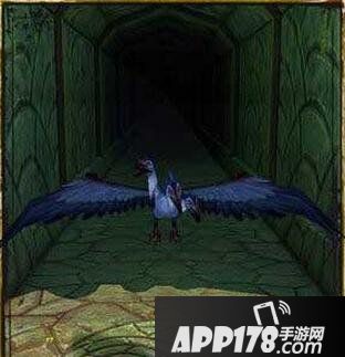 神庙逃亡2最新抓鸟攻略