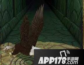 神庙逃亡2暴走鹰隐藏攻略