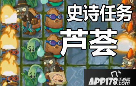 植物大战僵尸2芦荟