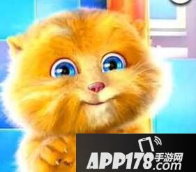 会说话的金杰拼图碎片