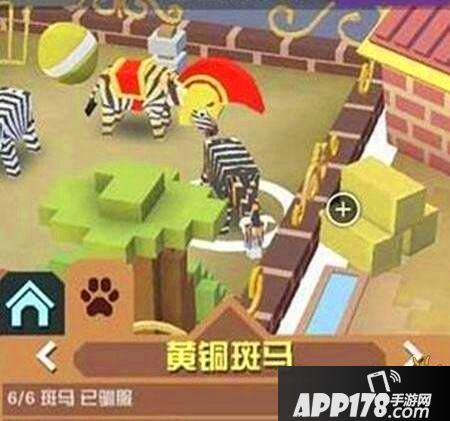 疯狂动物园狂暴收益详解