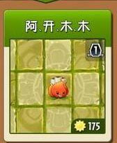 植物大战僵尸2阿开木木