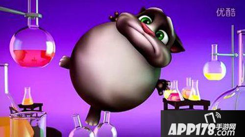 我的会说话的汤姆