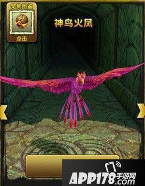 神庙逃亡2神鸟鬼车和神鸟火凤对比解析