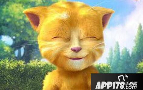 会说话的金杰闪退处理方法