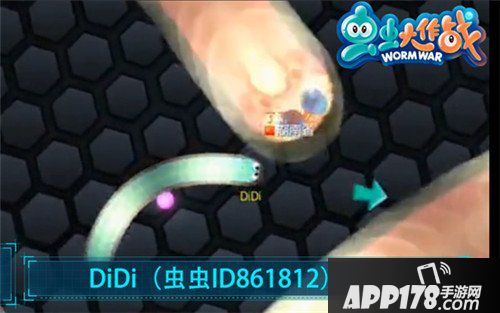 虫虫大作战战斗进阶技巧 