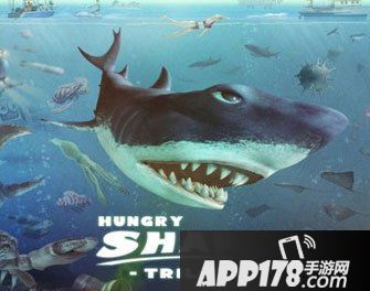 饥饿的鲨鱼3闪退