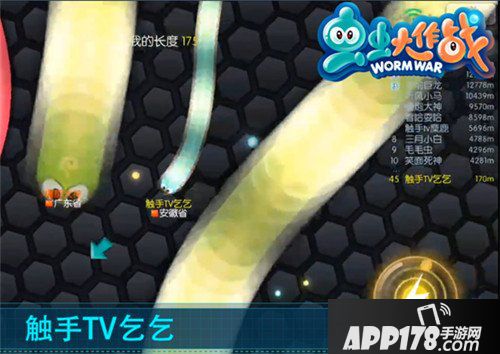 虫虫大作战战斗进阶技巧 