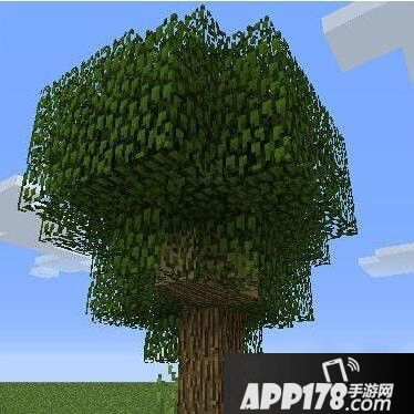 我的世界巨型橡树种植技巧分析