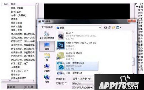 sayatoo怎么制作字幕 sayatoo傻丫头制作字幕图文教程4