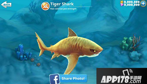 饥饿鲨世界3d宠物