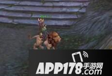 光明大陆雄狮