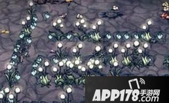 饥荒海难光之尘埃获取方法介绍