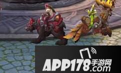光明大陆棕熊