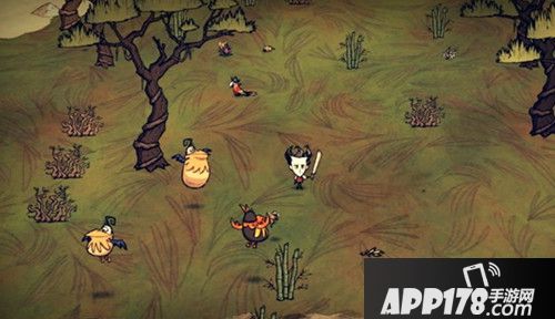 饥荒海难鹈鹕作用详解