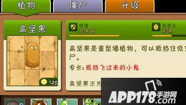 植物大战僵尸2高坚果