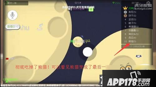 球球大作战技术进阶图解 主播疯子手术刀级操作瞬秒大球