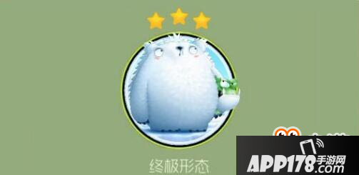 球球大作战淡定的雪熊少爷好看吗 怎么获取