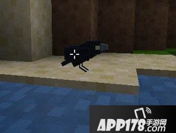 我的世界乌鸦
