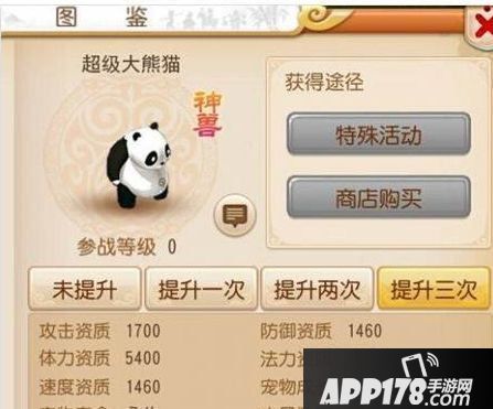 梦幻西游手游超级大熊猫加点攻略 超级大熊猫如何加点