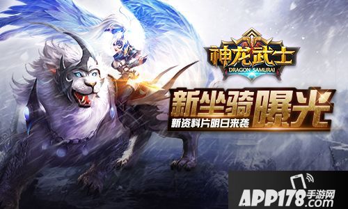 神龙武士资料片 