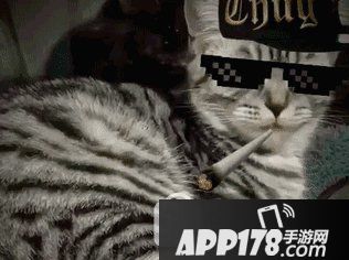 thug life怎么做视频 thug life视频制作教程3