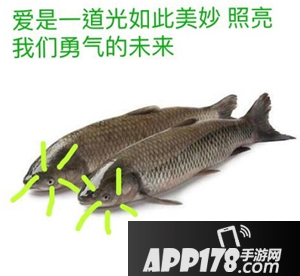 诡异的光是什么梗?出处在哪里?浙江高考诡异的光表情包13