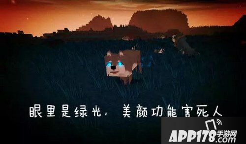 迷你世界版本0.18.5更新爆料 动物成精了