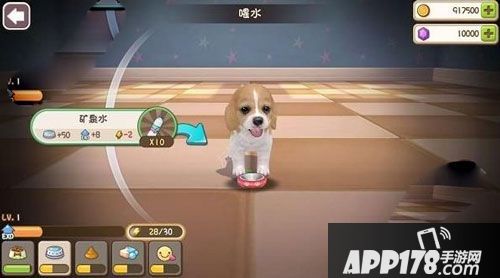 小汪汪狗狗成长 