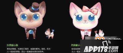 QQ飞车手游宠物希良喵小喏技能是什么 希良喵小喏图鉴介绍