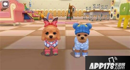 小汪汪萌化我心