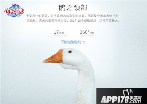 征途2手游最强游戏宠物