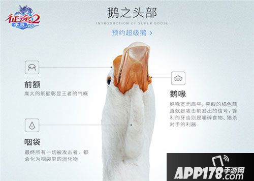 征途2手游最强游戏宠物