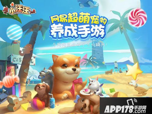 小汪汪手游城镇大揭秘