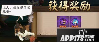 阴阳师庭院小动物怎么玩 庭院小动物玩法详解