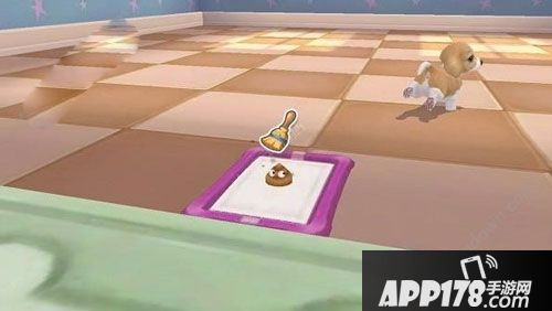 小汪汪狗狗成长 