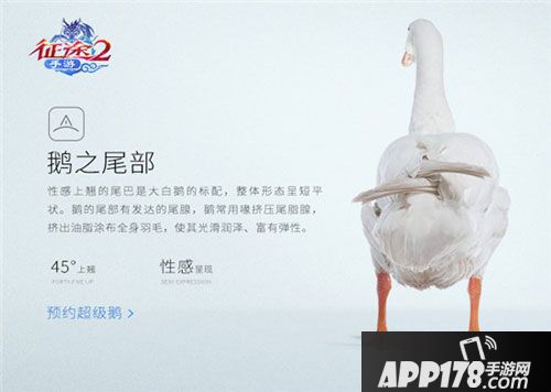 征途2手游最强游戏宠物