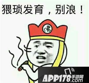 王者荣耀奇葩阵容