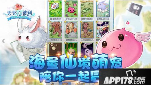 天天打波利宠物评价 