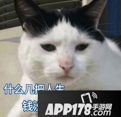 王者荣耀情侣