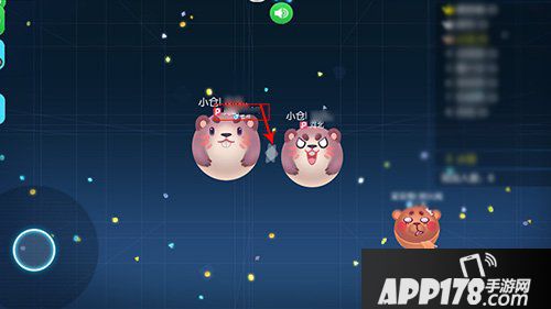 欢乐球吃球进阶篇 如何双排夺榜首