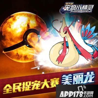 宠物小精灵萌宠 