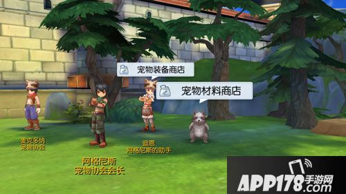 仙境传说ro宠物情人