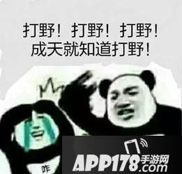 王者荣耀各个定位 