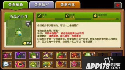 植物大战僵尸2开学季畅谈 沉迷学习日渐消瘦