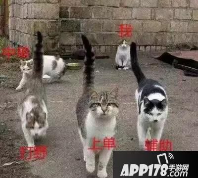 6bfbff71d81ee3ee86fe3c1c9ed9403c.jpg