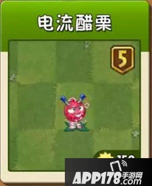 植物大战僵尸2植物界老师盘点 对老师好一点