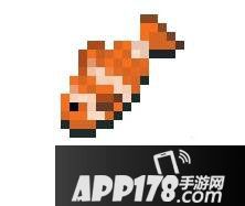 我的世界2小丑鱼