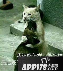 王者荣耀红领巾